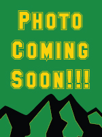 Alex  Borini full bio