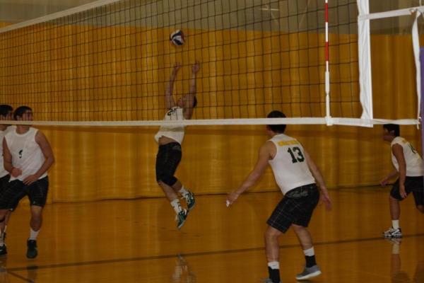 Men's Volleyball Loses Two at Springfield Invite: Drop to Rutgers-Newark 3-1, Springfield 3-0