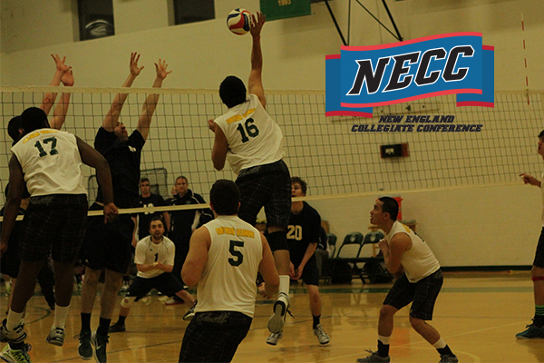 Men's Volleyball Drops at Endicott in NECC Semifinal, 3-0