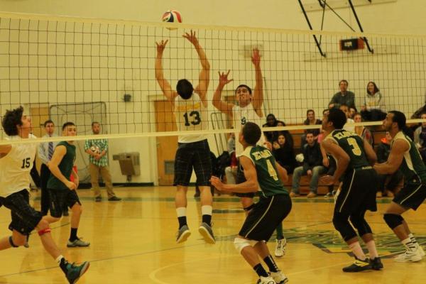 Men's Volleyball Slighted in Tough NECC Meeting at Elms, 3-2