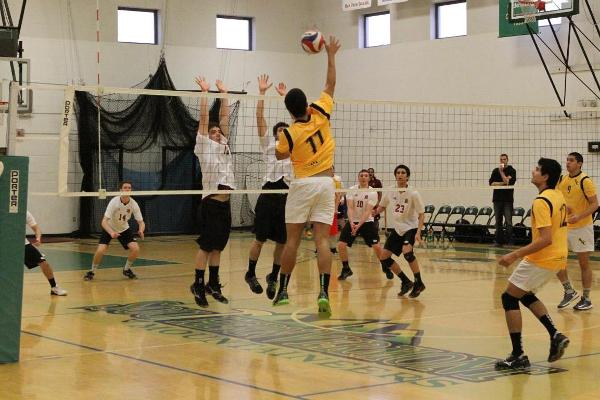 Regis Edges Men's Volleyball 3-2 in Pivotal NECC Matchup