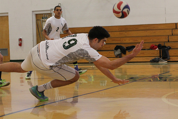 Men's Volleyball Sweeps Mount Saint Vincent Tri-Match to Start Season, Defeats York & MSV 3-0