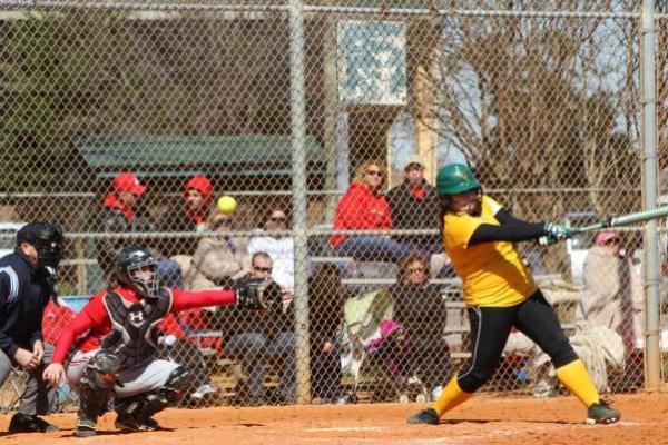 Nine Run First Inning Helps Softball Earn Split