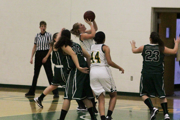 Women's Basketball Falls at Newbury, 54-37