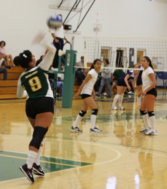 Hogue (9), Canta (1), Veliz (5)