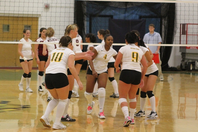 Photo for #3 Southern Vermont Women’s Volleyball Sweeps #6 Bay Path 3-0 in NECC Quarterfinal Play image 35
