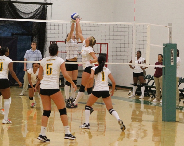 Golub (7), Canta (1),  Veliz (5)