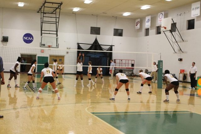Photo for #3 Southern Vermont Women’s Volleyball Sweeps #6 Bay Path 3-0 in NECC Quarterfinal Play image 38