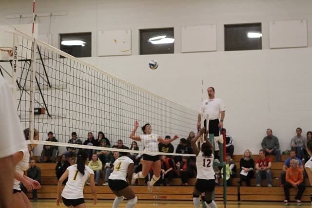 Photo for #3 Southern Vermont Women’s Volleyball Sweeps #6 Bay Path 3-0 in NECC Quarterfinal Play image 67