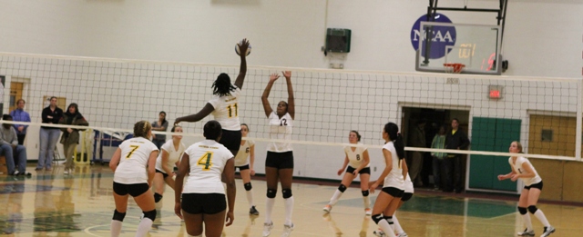 Photo for #3 Southern Vermont Women’s Volleyball Sweeps #6 Bay Path 3-0 in NECC Quarterfinal Play image 69
