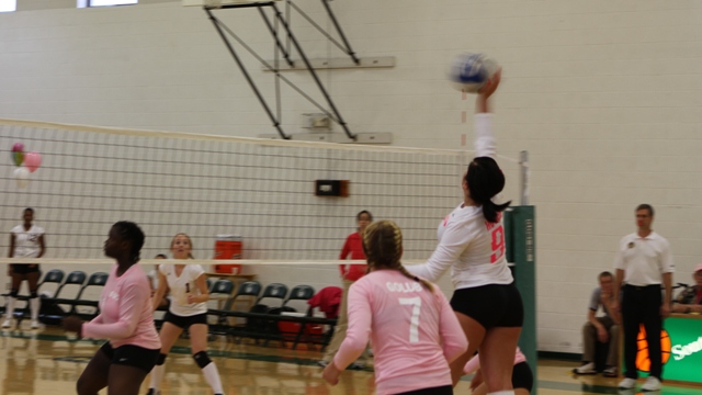 Hogue (9), Golub (7)