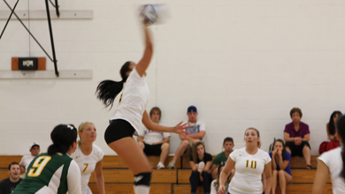 Women’s Volleyball Falls In Home Openers
