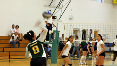 Lesley Clinches Second Seed with NECC Sweep Over Elms & SVC