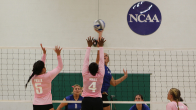 SVC Volleyball Sweeps Bay Path and Becker in NECC Tri-match