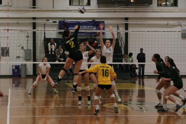 Women's Volleyball Season Ends with 3-1 Loss to Middleburry in NCAA's