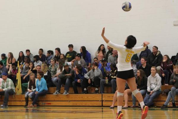 Women's Volleyball Wins Both at Norwich Tri-Match, 3-0 Over NU and Maine Maritime