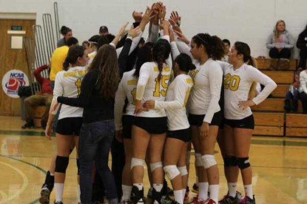 Women's Volleyball Grabs No. 1 Seed in NECC Playoffs with 3-0 Win at Elms