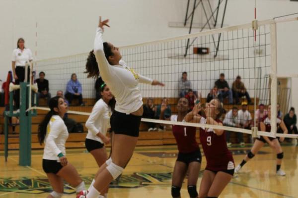 Women's Volleyball Puts Down Wildcats, 3-0