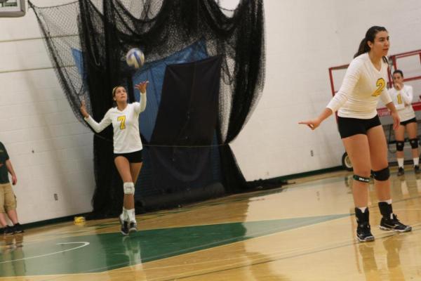 Women's Volleyball Sweeps Newbury Tri-Match Against Nighthawks and Clark