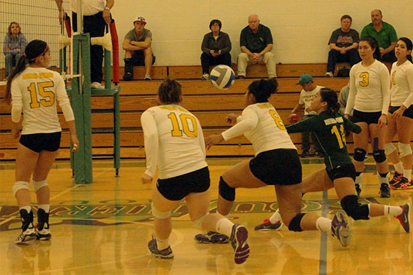 Women's Volleyball Clinches NECC Postseason Birth with 3-0 Win Over Mitchell