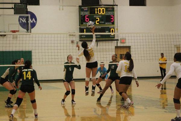 Women's Volleyball Blazes Past Elms 3-0 in NECC Action