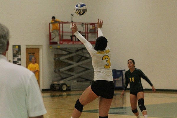 Women's Volleyball Takes 3rd-Straight NECC Regular Season Championship with 3-0 Win at Lesley
