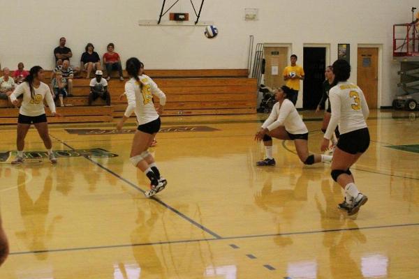 Women's Volleyball Tops Norwich 3-2 to Start Season