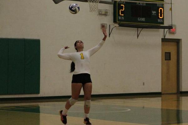 Women's Volleyball Splits Day 1 of VP Invite: Lose 3-0 to Clarkson, Defeat Norwich 3-2