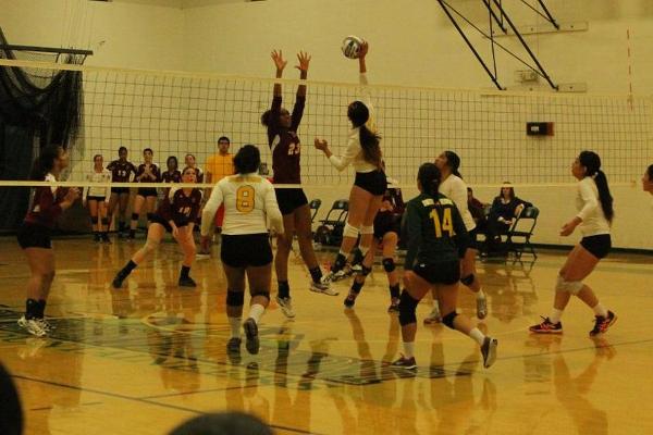 Women's Volleyball Begins NECC Play with 3-2 Win Over Regis