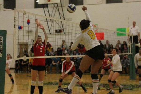 Women's Volleyball Returns to NECC Championship with 3-0 Win Over Daniel Webster