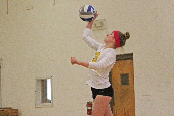 Women's Volleyball Swept 3-0 at Newbury in Pivotal NECC Matchup