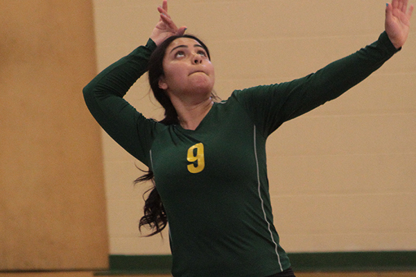 Women's Volleyball Swept 3-0 by Poly, Potsdam in Season-opening Pair at Canton