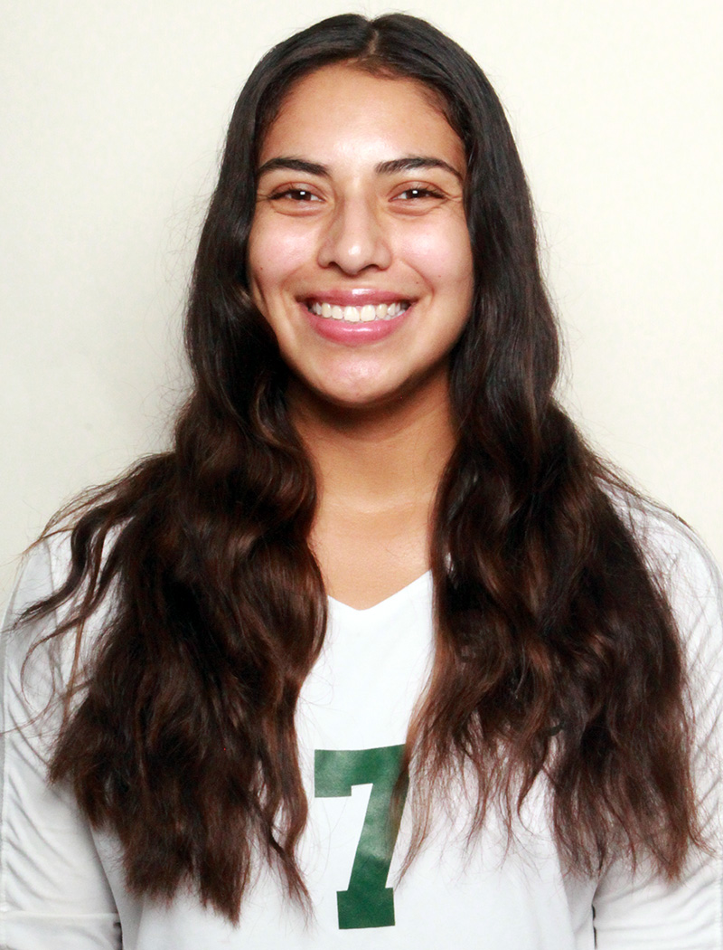 Taryn Higareda full bio